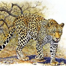 Оригинал схемы вышивки «Leopardo.» (№2251917)