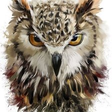 Схема вышивки «Сова»