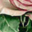 Предпросмотр схемы вышивки «Розовые розы.» (№2252279)