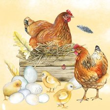 Схема вышивки «gallina»