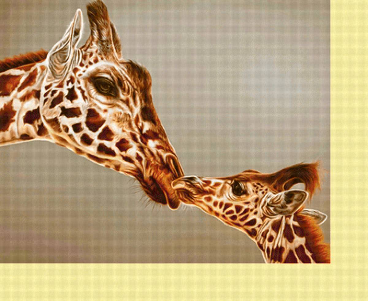 Серия "Животные". Жирафики - животные, жирафы - предпросмотр