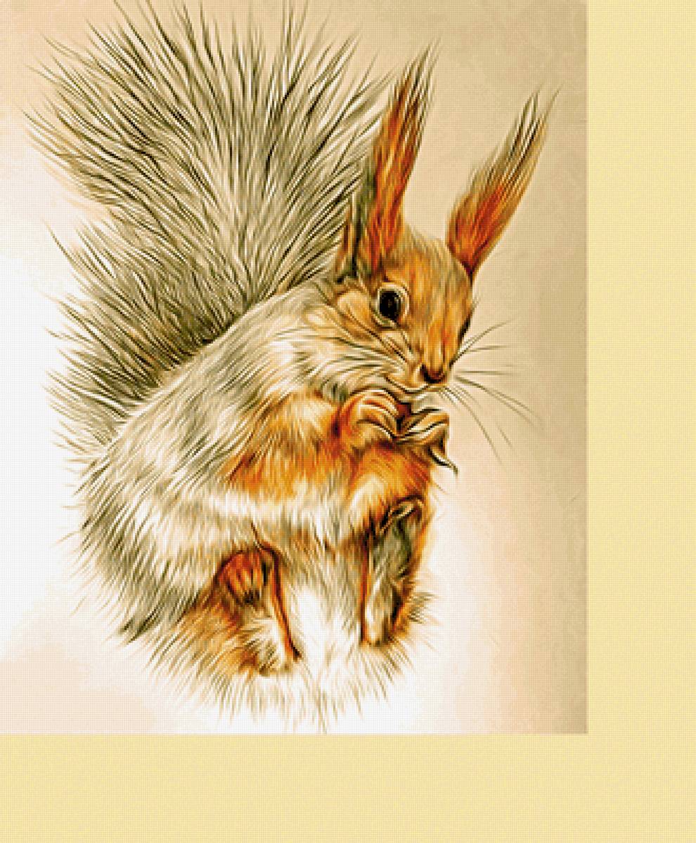 Серия "Грызуны". Белочка - белка, животные, грызуны - предпросмотр