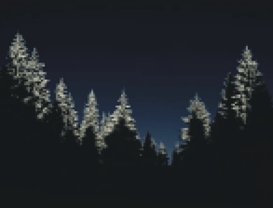 Ночь в зимнем лесу - пейзаж, лесо, деревья, зима, ночь - оригинал