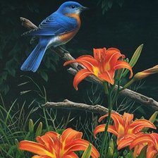 Схема вышивки «Pássaro e flores.»