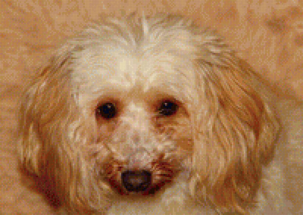 Милый пёсик - щенок, собака, мордочка - предпросмотр