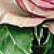 Предпросмотр схемы вышивки «rosas» (№2253001)