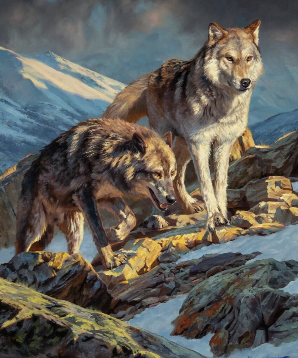 Lobos - naturaleza - оригинал