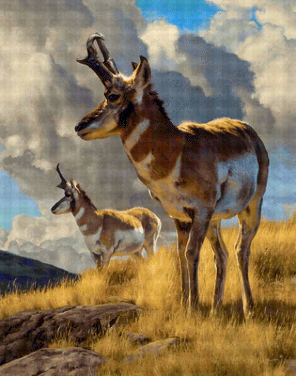 paisaje - naturaleza - предпросмотр