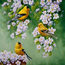 Схема вышивки «amarillos»