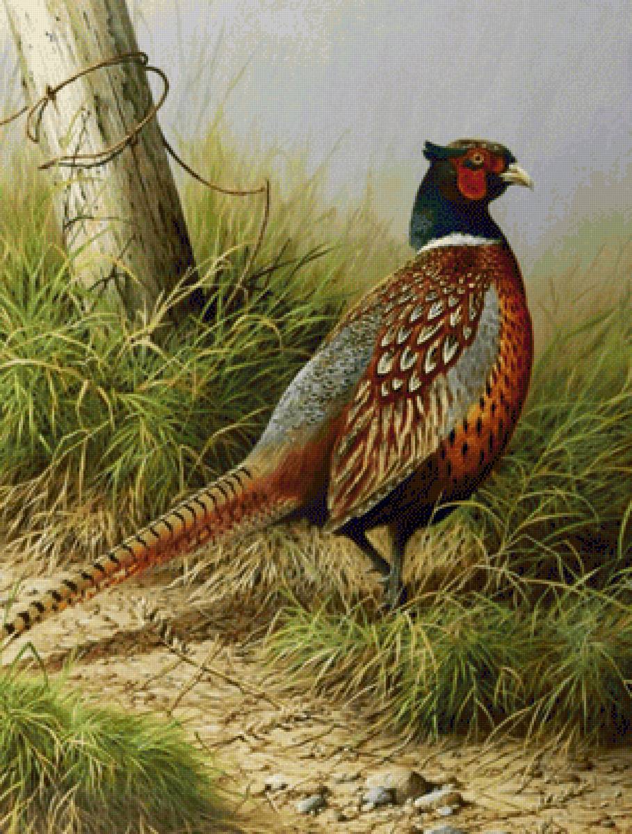 hermoso - naturaleza - предпросмотр