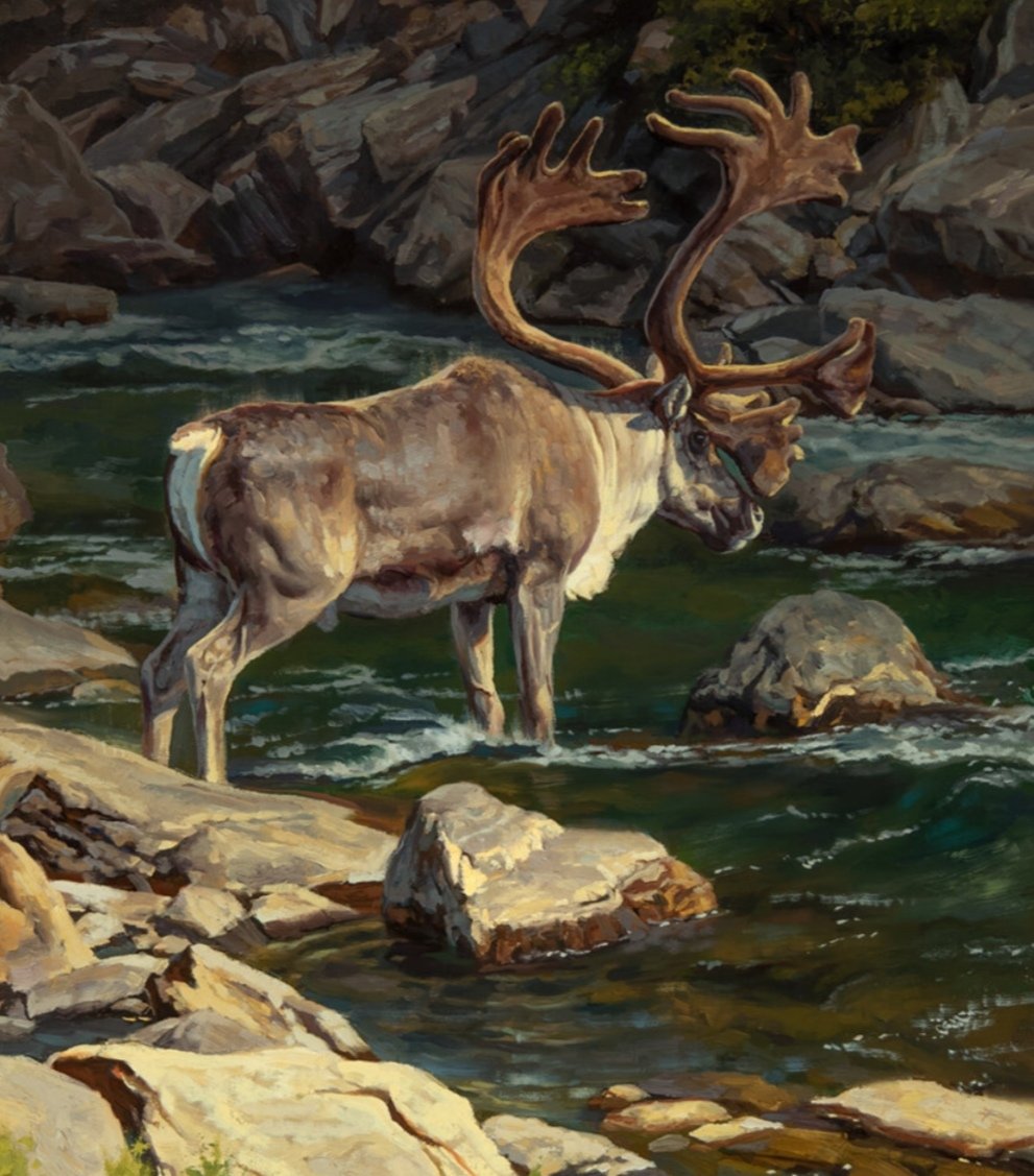 paisaje - naturaleza - оригинал