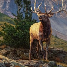 Схема вышивки «paisaje2»