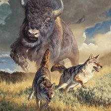 Схема вышивки «Bisonte»