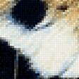 Предпросмотр схемы вышивки «Тигр под дождем» (№2253125)