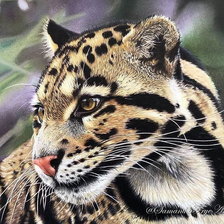 Схема вышивки «Молодая кошечка»