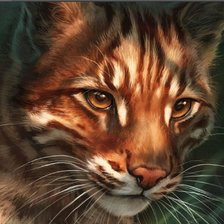 Схема вышивки «Огненный котик»