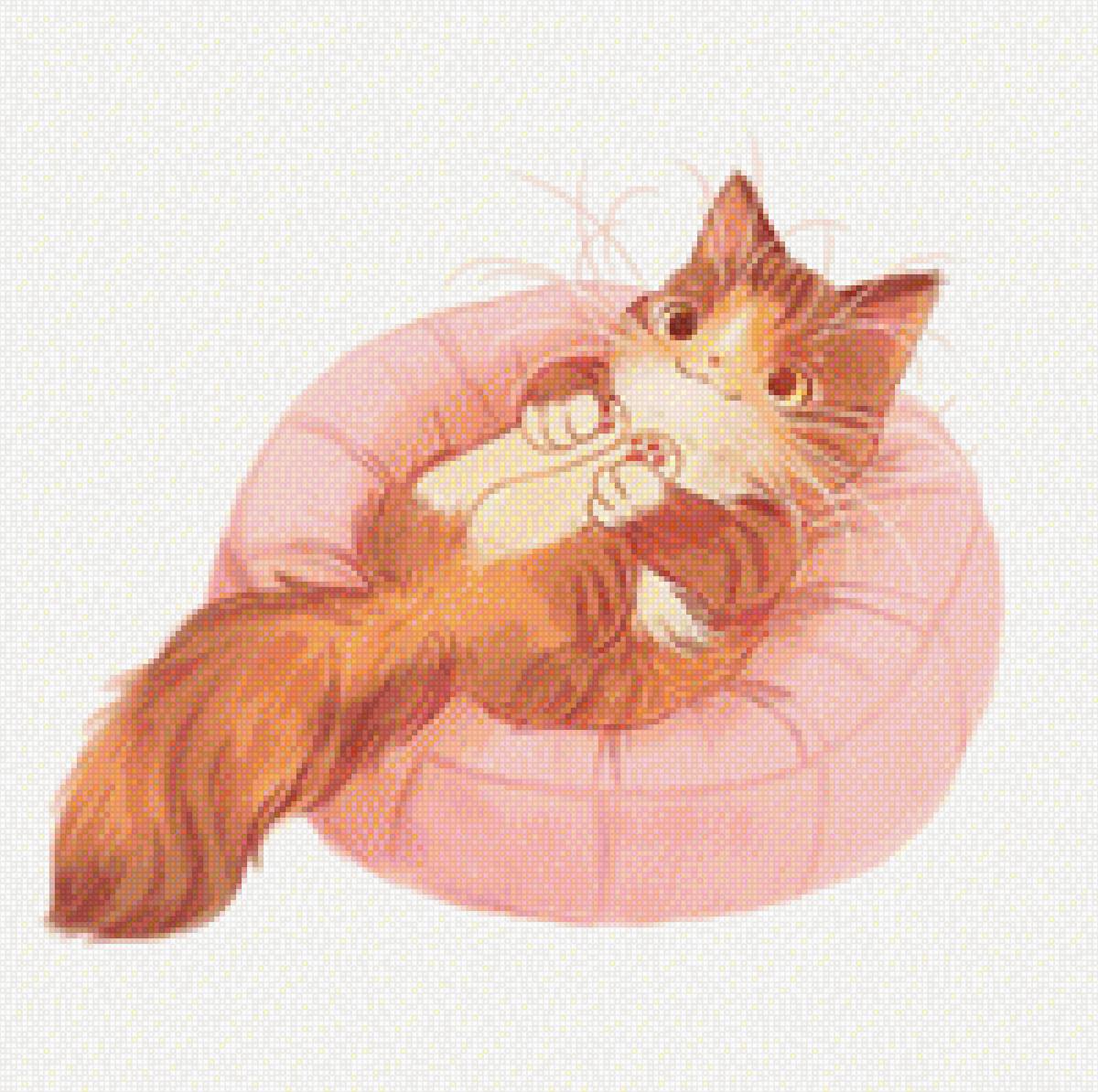 Котя - животные - предпросмотр