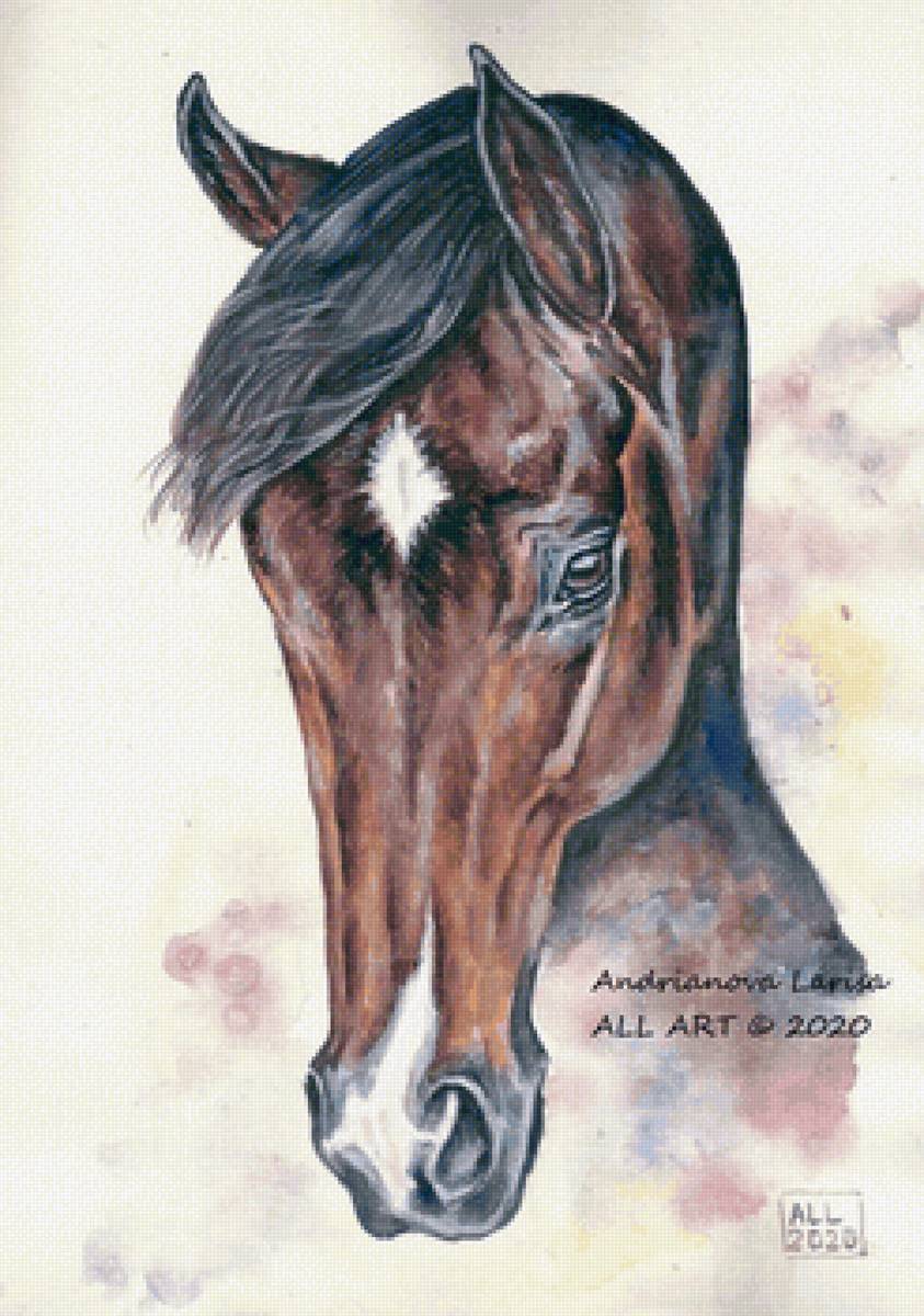 Портрет гнедого - лошади, животные - предпросмотр