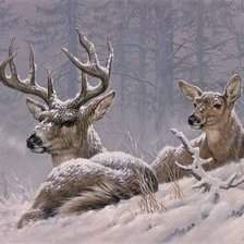 Оригинал схемы вышивки «Winter deer» (№2253312)