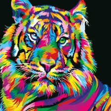 радужный тигр
