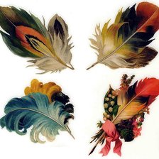 Схема вышивки «перья»