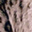 Предпросмотр схемы вышивки «Leopardo.» (№2254163)