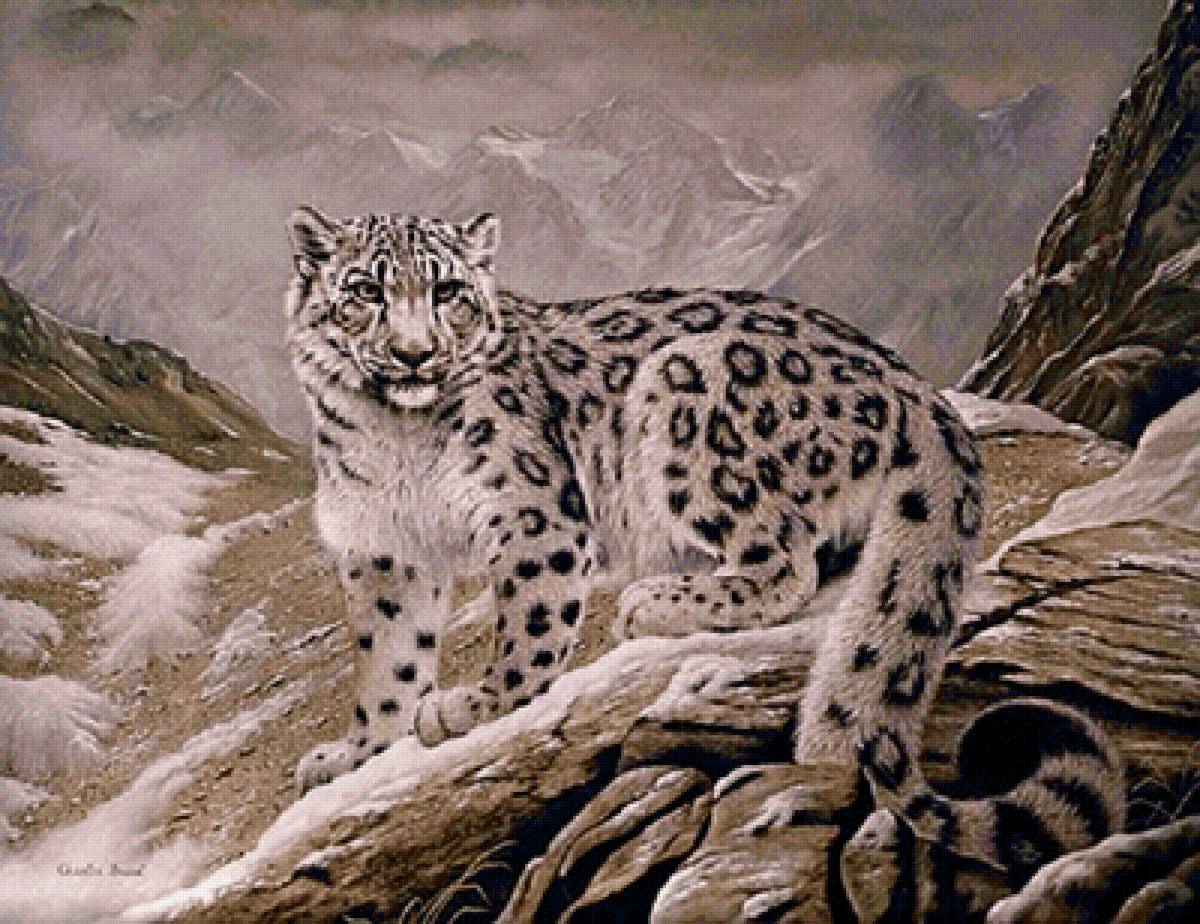 Leopardo. - animais.montanhas. - предпросмотр