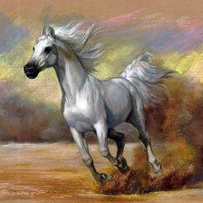 Оригинал схемы вышивки «Cavalo ,árabe.» (№2254187)