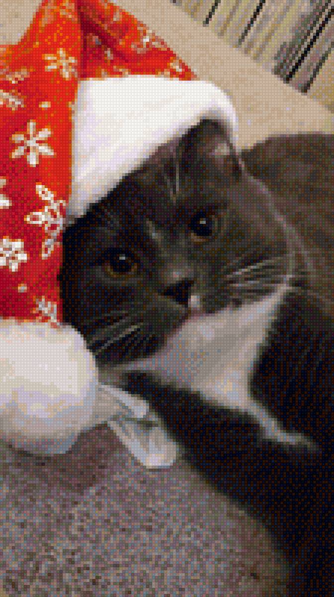 Дед  мороз - предпросмотр