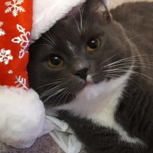 Схема вышивки «Дед  мороз»