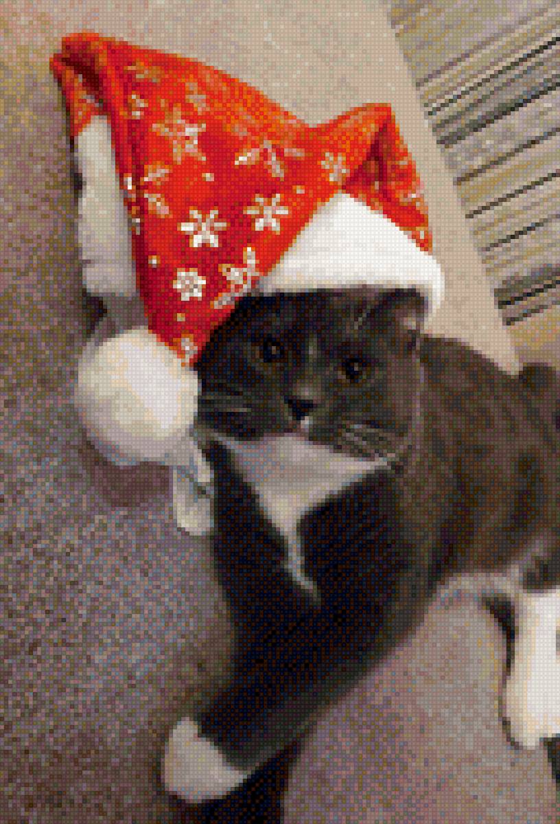 Дед мороз - предпросмотр