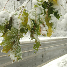 Схема вышивки «Зимняя дорога»