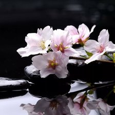 Схема вышивки «Цветы»