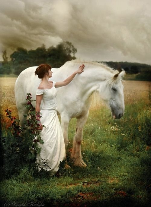 В белом - лошадь, девушка, поле - оригинал