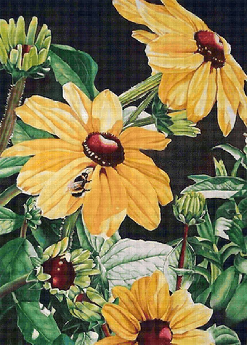 цветы - предпросмотр