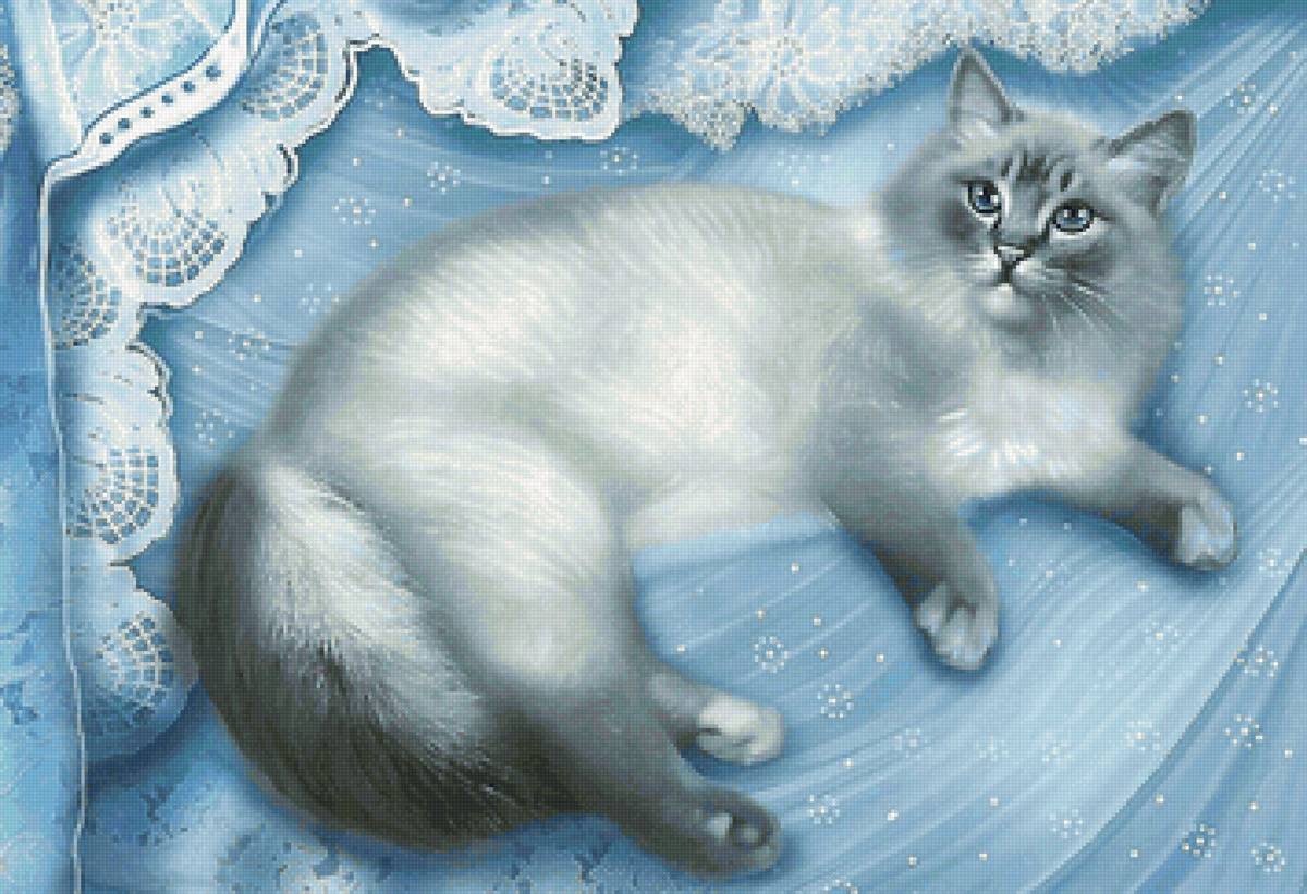 котик - предпросмотр