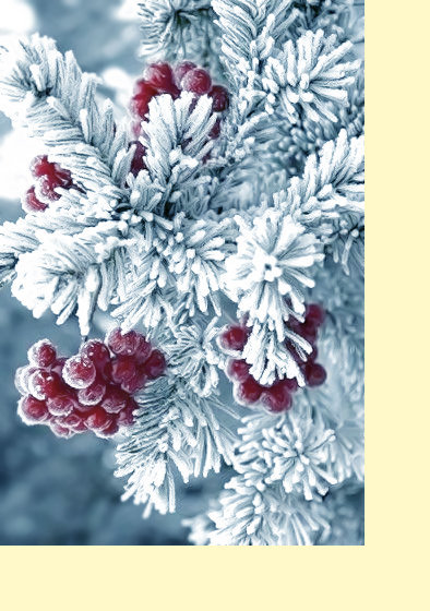 Дубль 2 - по просьбе  5Манюня, - оригинал