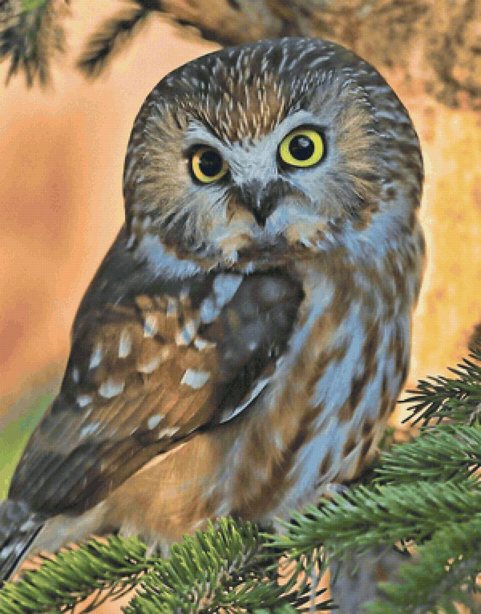 №2254980 - предпросмотр