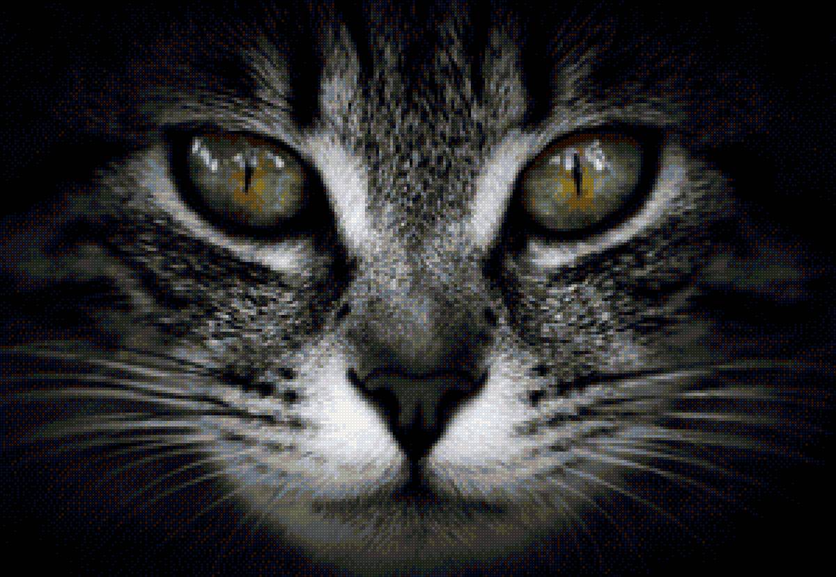 №2255082 - предпросмотр