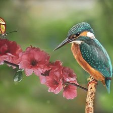 Схема вышивки «природа»