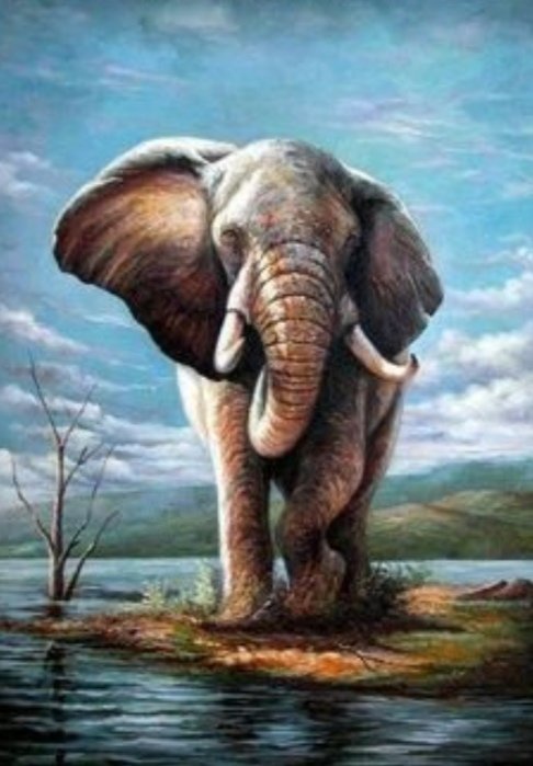 Elefante - paisaje - оригинал