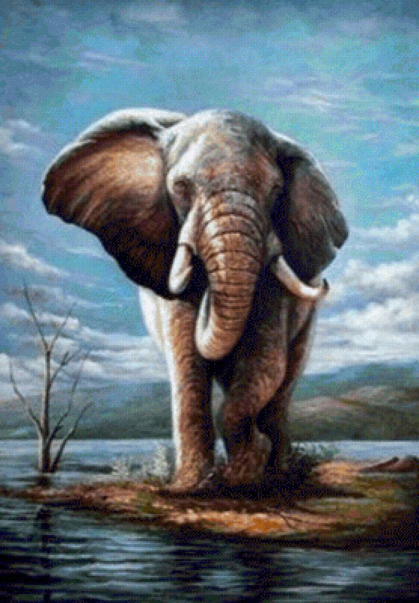 Elefante - paisaje - предпросмотр