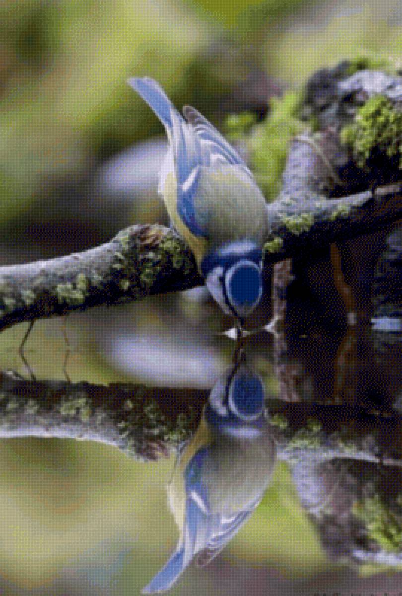 paisaje - naturaleza - предпросмотр