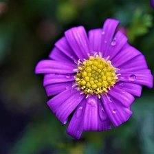 Схема вышивки «№2255399»