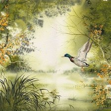 Схема вышивки «Утка»