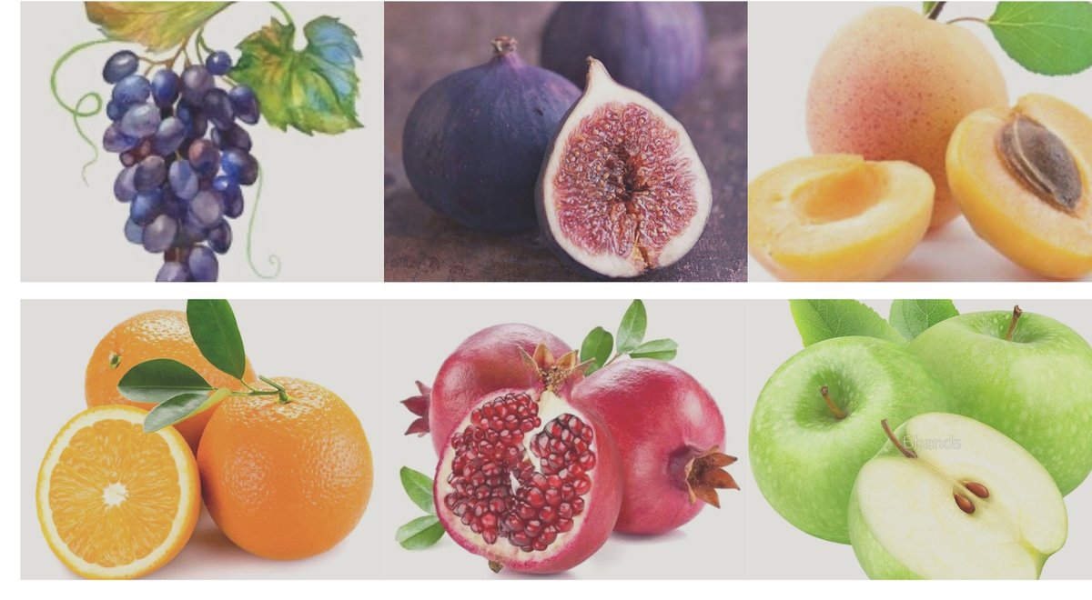 №2255596 - оригинал