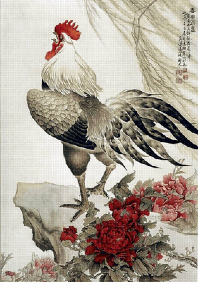 Galo. - peônias., galo, aves - предпросмотр