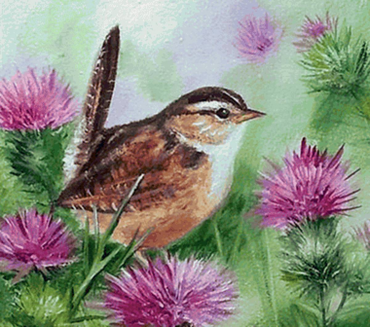 Pássaro. - pássaro, flores. - предпросмотр