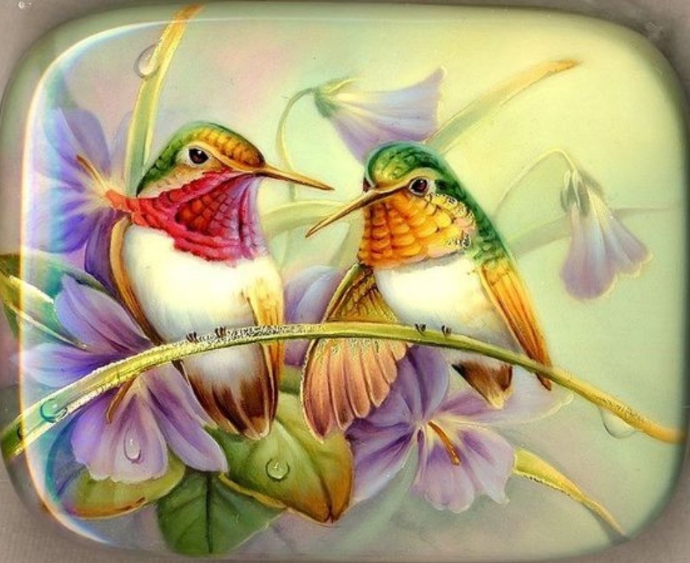 Colibríes - naturaleza - оригинал