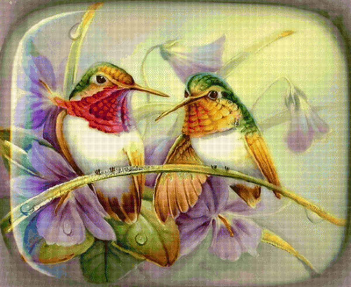 Colibríes - naturaleza - предпросмотр